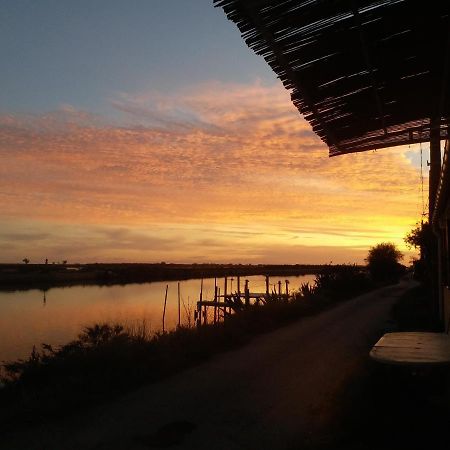 Cabanes Des Aresquiers Frontignan ภายนอก รูปภาพ