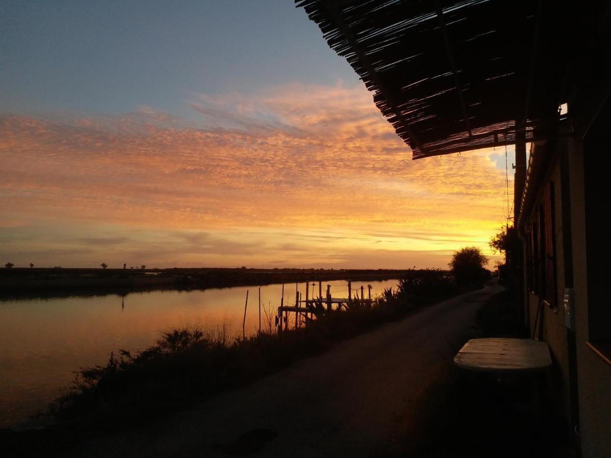 Cabanes Des Aresquiers Frontignan ภายนอก รูปภาพ