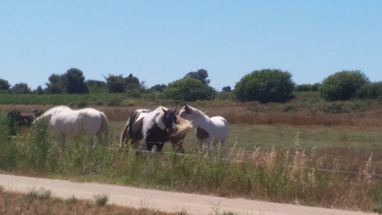 Cabanes Des Aresquiers Frontignan ภายนอก รูปภาพ