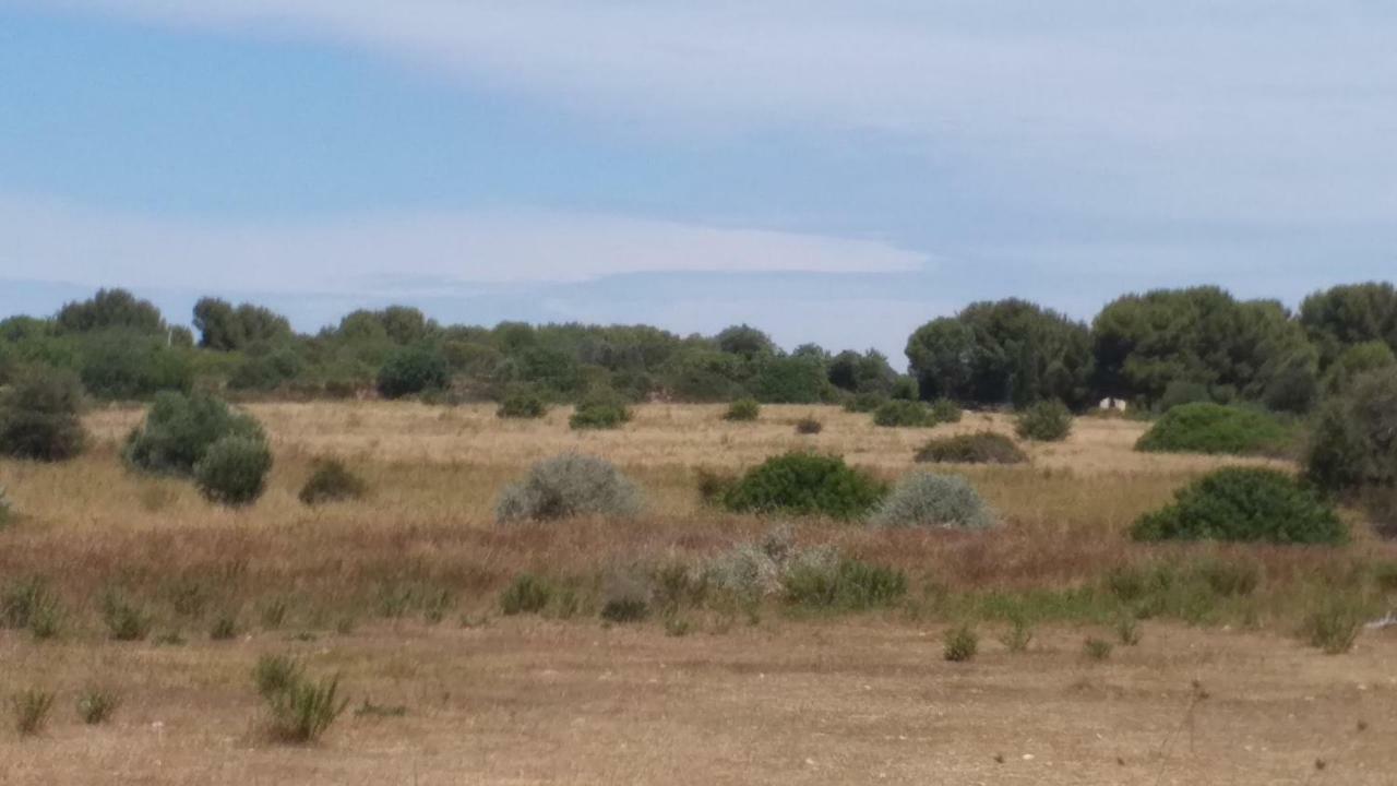 Cabanes Des Aresquiers Frontignan ภายนอก รูปภาพ